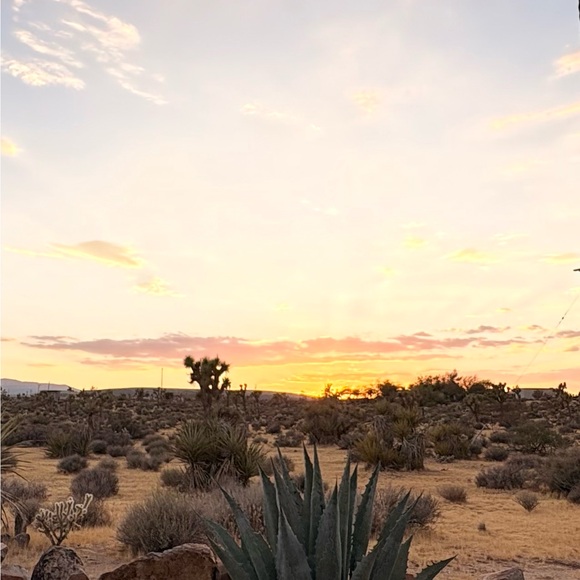 desertliving_